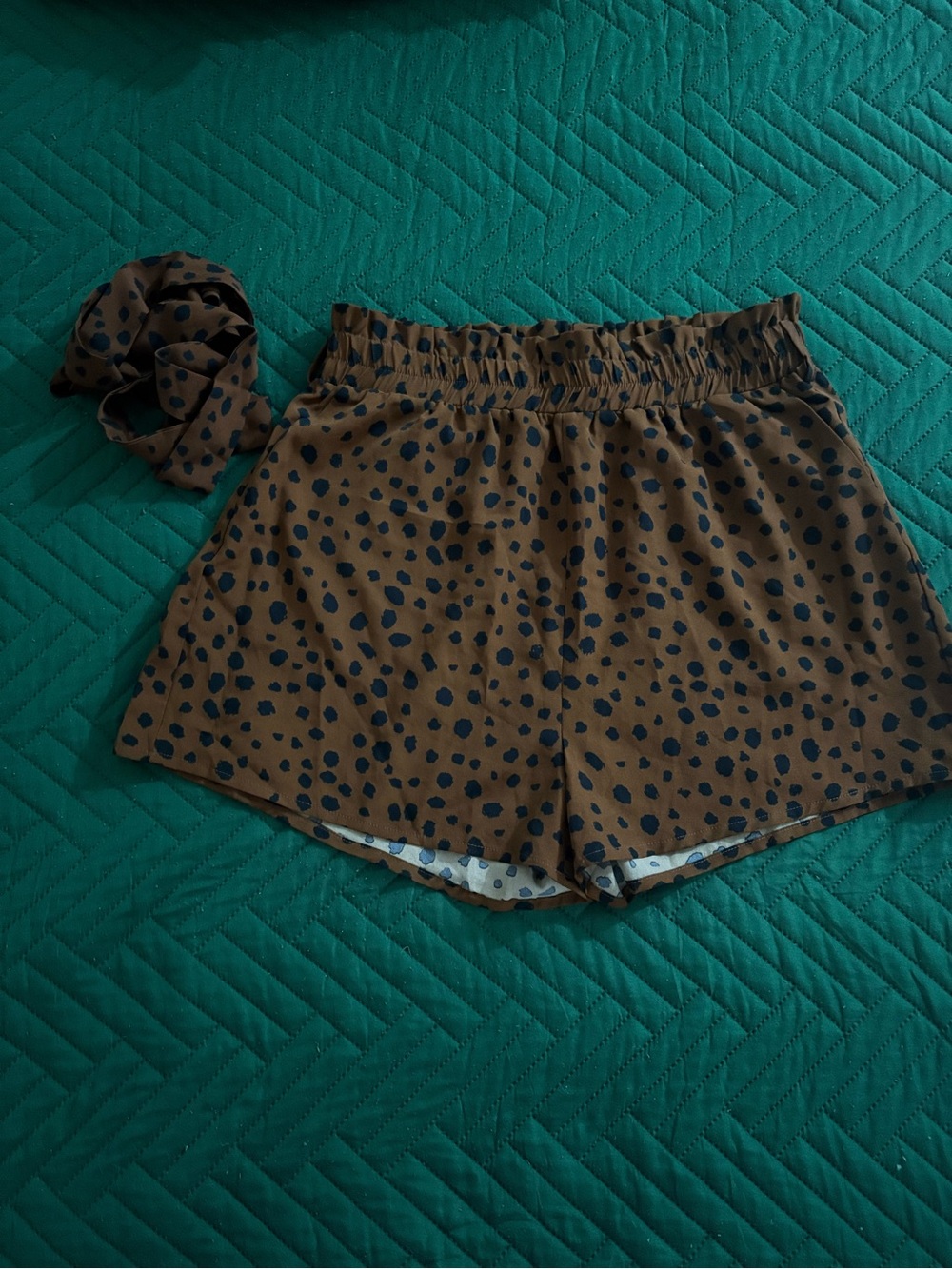 Brown Polka Dot Elastic Waist Shorts